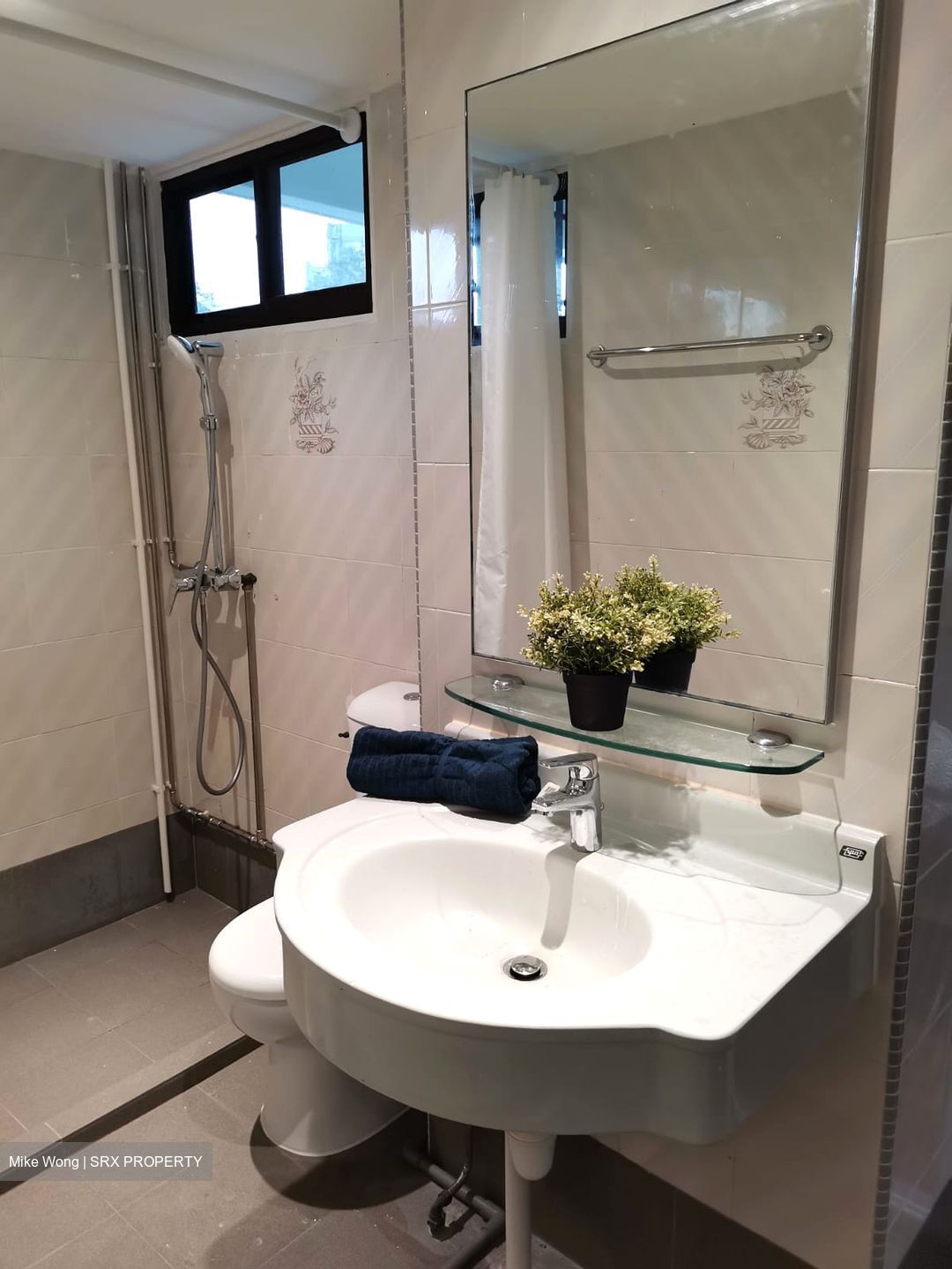 Dunearn Road (D11), Condominium #528339051